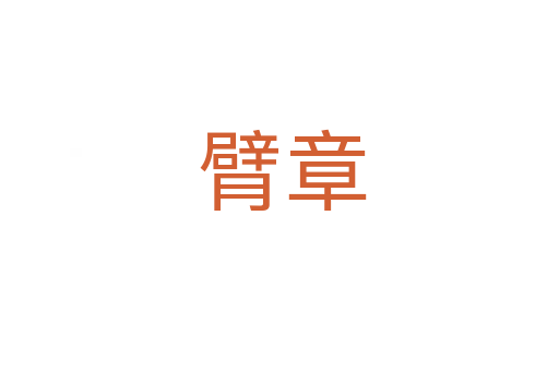 臂章