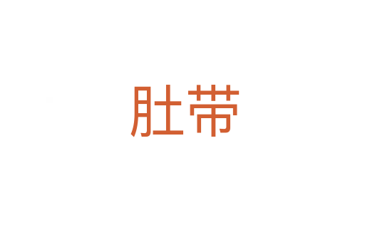 肚带