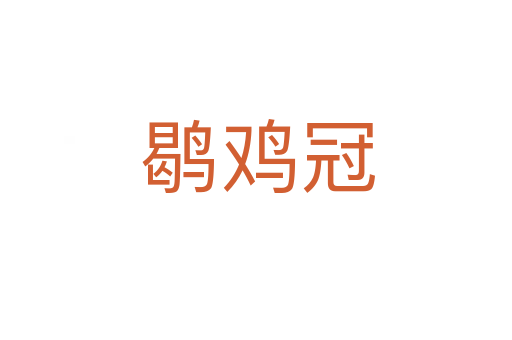 鹖鸡冠
