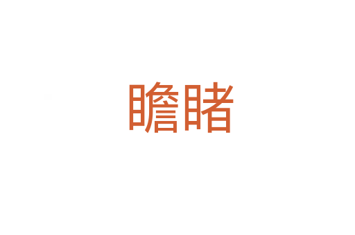 瞻睹