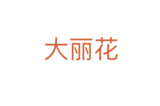 大丽花