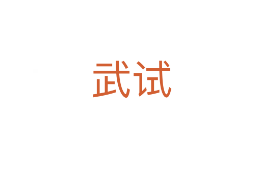 武试
