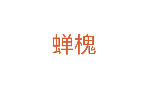 蝉槐