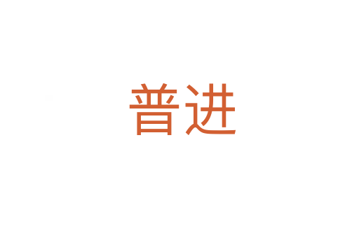 普进