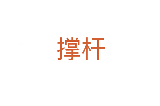 撑杆