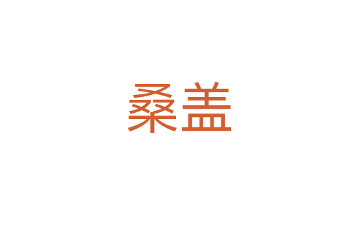 桑盖