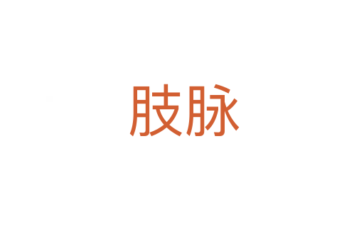 肢脉
