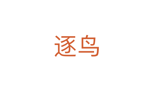 逐鸟