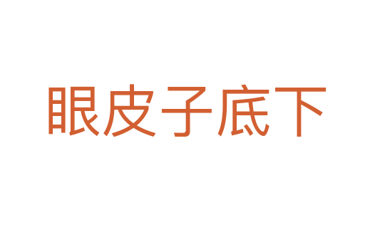 眼皮子底下