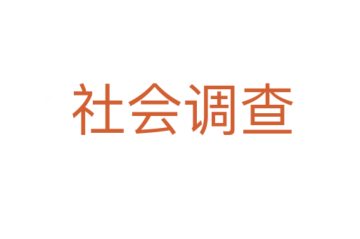 社会调查