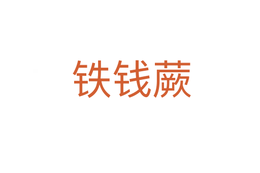 铁钱蕨