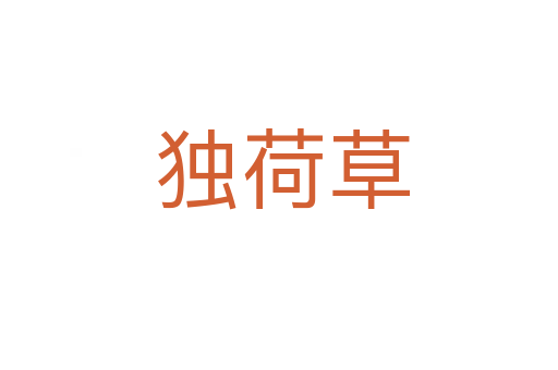 独荷草