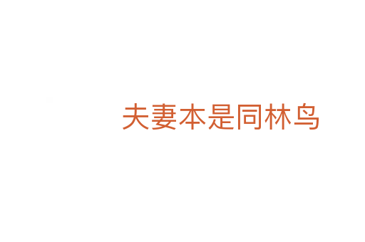 夫妻本是同林鸟