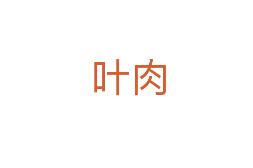 叶肉