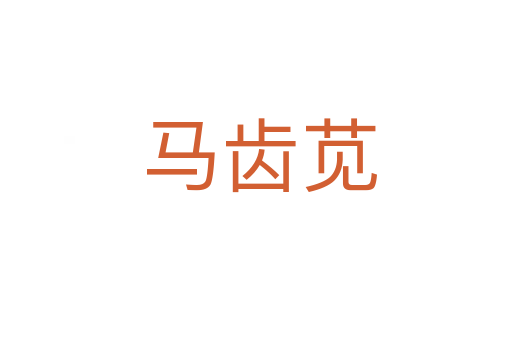 马齿苋