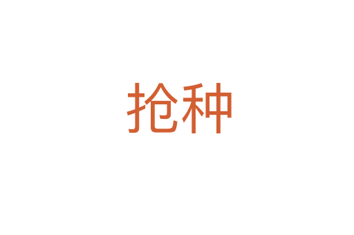 抢种