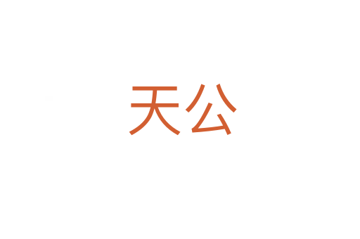 天公