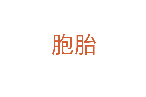 胞胎