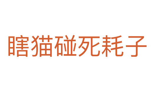 瞎猫碰死耗子