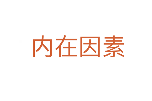 内在因素