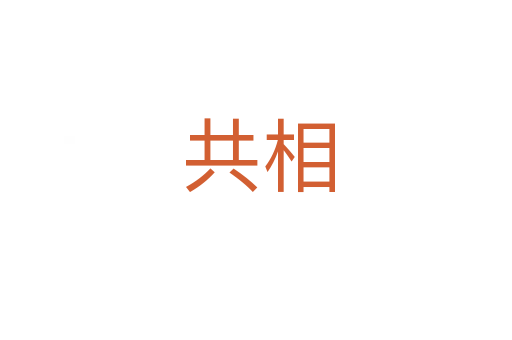 共相