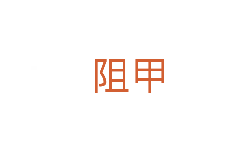 阻甲