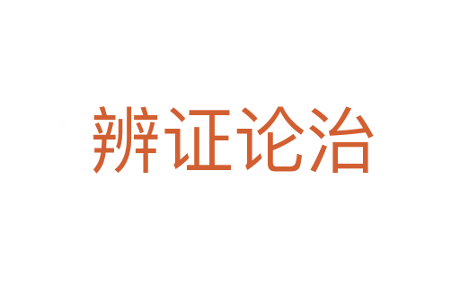 辨证论治