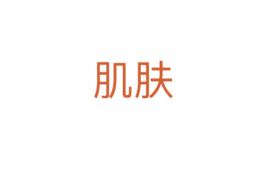 肌肤