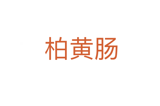 柏黄肠
