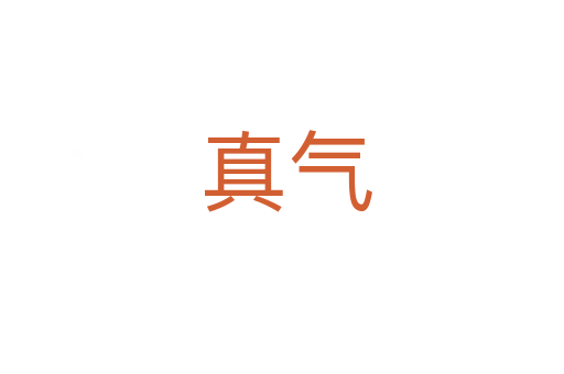 真气