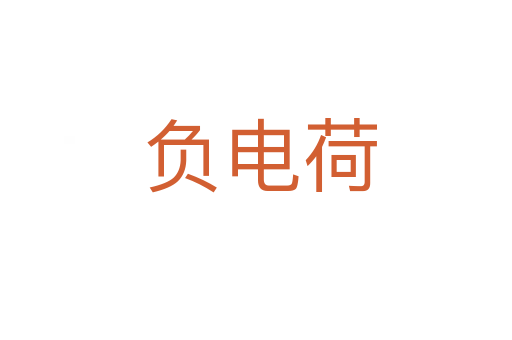 负电荷
