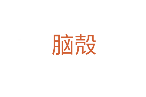 脑殻