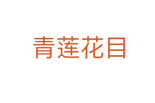 青莲花目