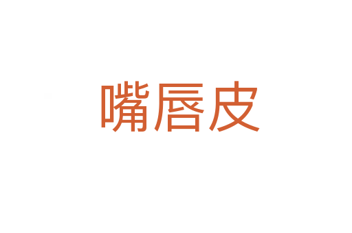 嘴唇皮
