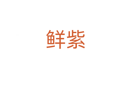 鲜紫